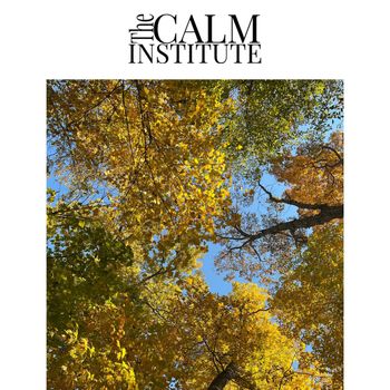CALM - Solid State