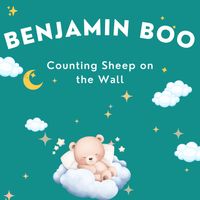 Benjamin Boo - Counting Sheep on the Wall