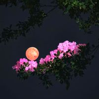 seasons - Just Imagine