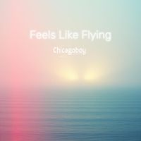 Chicagoboy - Feels Like Flying