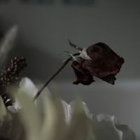 Oath We Made - It Had to End Sometime (Explicit)
