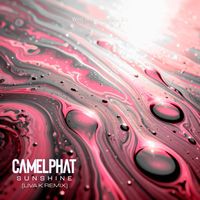 CamelPhat - Sunshine (Liva K Remix)
