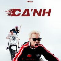 Bilo - Cá Cảnh