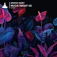 Seumas Norv - Much About Us