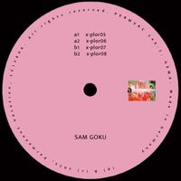 Sam Goku - Explorations 02