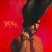 Charlie Winston - What a Feeling