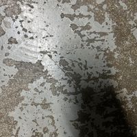 BEBOP - Left For Dead (Explicit)