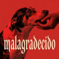 ZAZZU - Malagradecido
