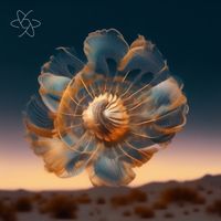 Amir Telem - Stone (Extended Mix)