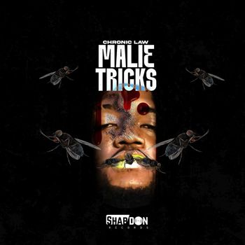 Chronic Law - Malie Tricks (Explicit)