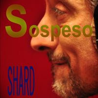 Shard - Sospeso