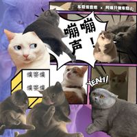 车载低音炮 & 阿爆只做车载dj - 蹦蹦声