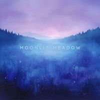Moonlit Meadow - Sunset Garden