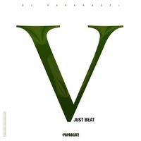 DJ Paparazzi - Just Beat Vol. V