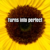 Aparecida - Turns into perfect