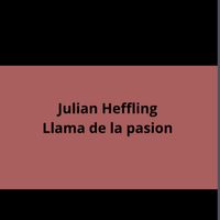 Nikki lee - Julian Heffling- Llama de la pasion