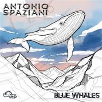 Antonio Spaziani - Blue Whales
