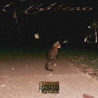 Meno - Project2s (Explicit)