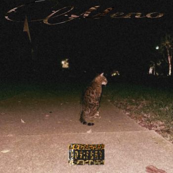 Meno - Project2s (Explicit)