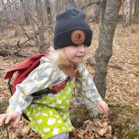 Skip Via - Walkin' Through the Woods