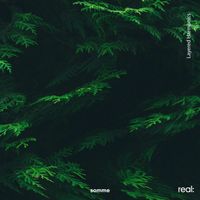 somme - Layered Harmonics