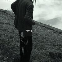agony - bull