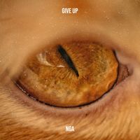 NGA - Give Up
