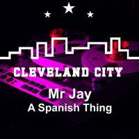Mr Jay - Spanish Thing