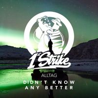 Alltag - Didn't Know Any Better (Explicit)