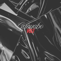 VOLT - Guayabo