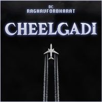 DC & raghavforbharat - Cheelgadi