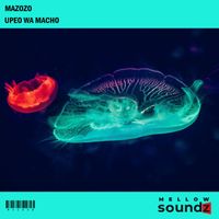 Mazozo - Upeo Wa Macho