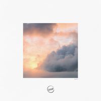 Catching Flies - Care 4 U