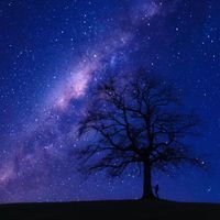 Laura Sullivan - Stars