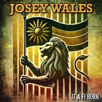 Josey Wales - It A Fi Burn