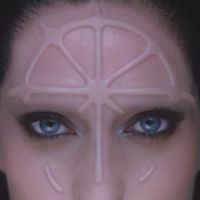 Gaia - rosa dei venti