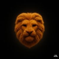 Loic Penillo - DON'T LET ME GO