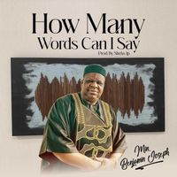 Benjamin Joseph - How Many Words Can I Say