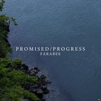 Farabee - Promised Progress
