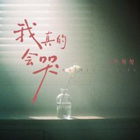 小匆匆 - 我真的会哭