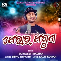 Satyajeet Pradhan - Ferar Faguna