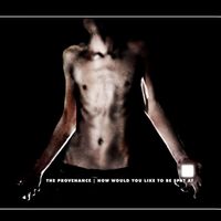 The Provenance - How Would You Like to Be Spat At (Explicit)