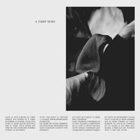 Louise Roam - A Faint Echo