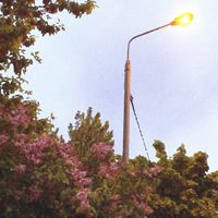O.B - My Lost Summer