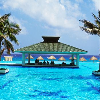 Kit - Swim-up Bar