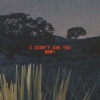 MBP - I Didn't Ask You