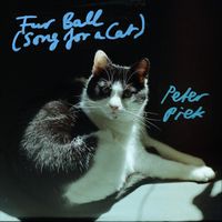 Peter Piek - Fur Ball (Song for a Cat)