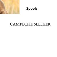 Spook - Campeche Sleeker
