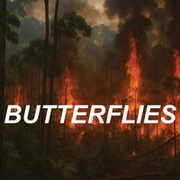 Manda Chuva - Butterflies 2025