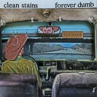 Clean Stains - Forever Dumb